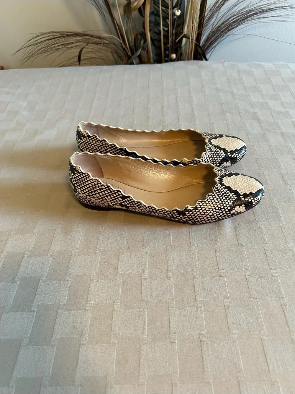 Chloe Lauren Python Embossed Scalloped Leather Ballet Flats